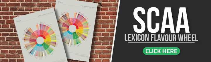 coffee flavor wheel hd