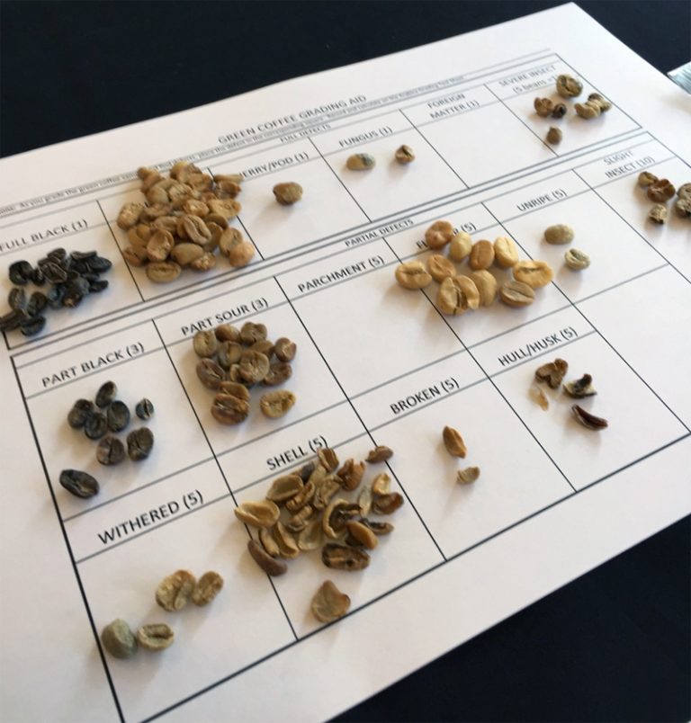 Q grade в кофе. Semi wash coffee. зерно духа. кения coffee bean. Coffee blend.