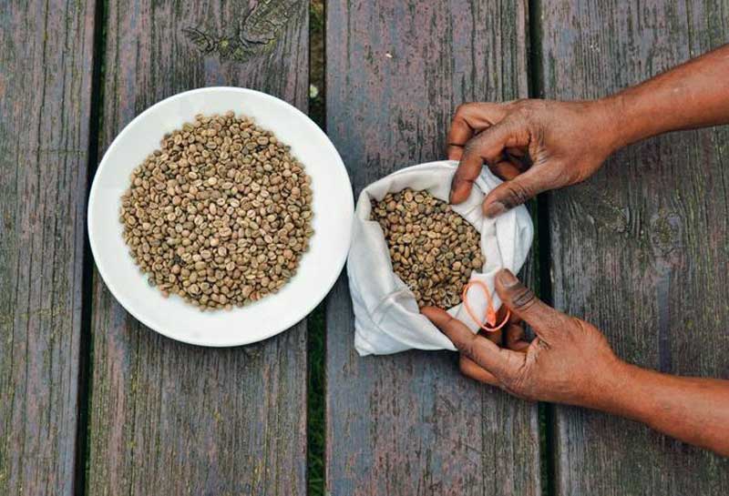 green bean kopi